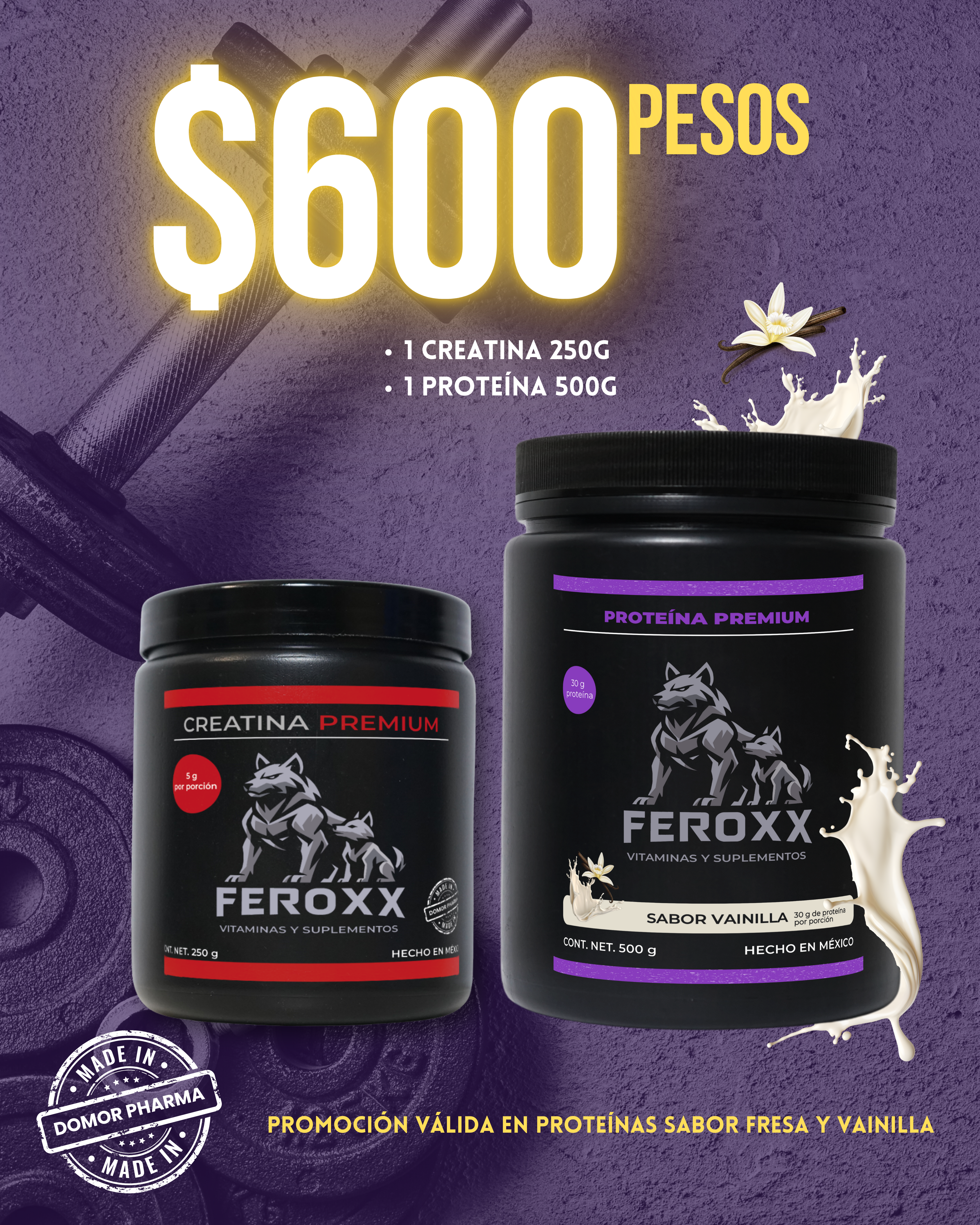 1 Kit - 2 Proteínas, 1 Creatina 250g, 1 Proteína 500g