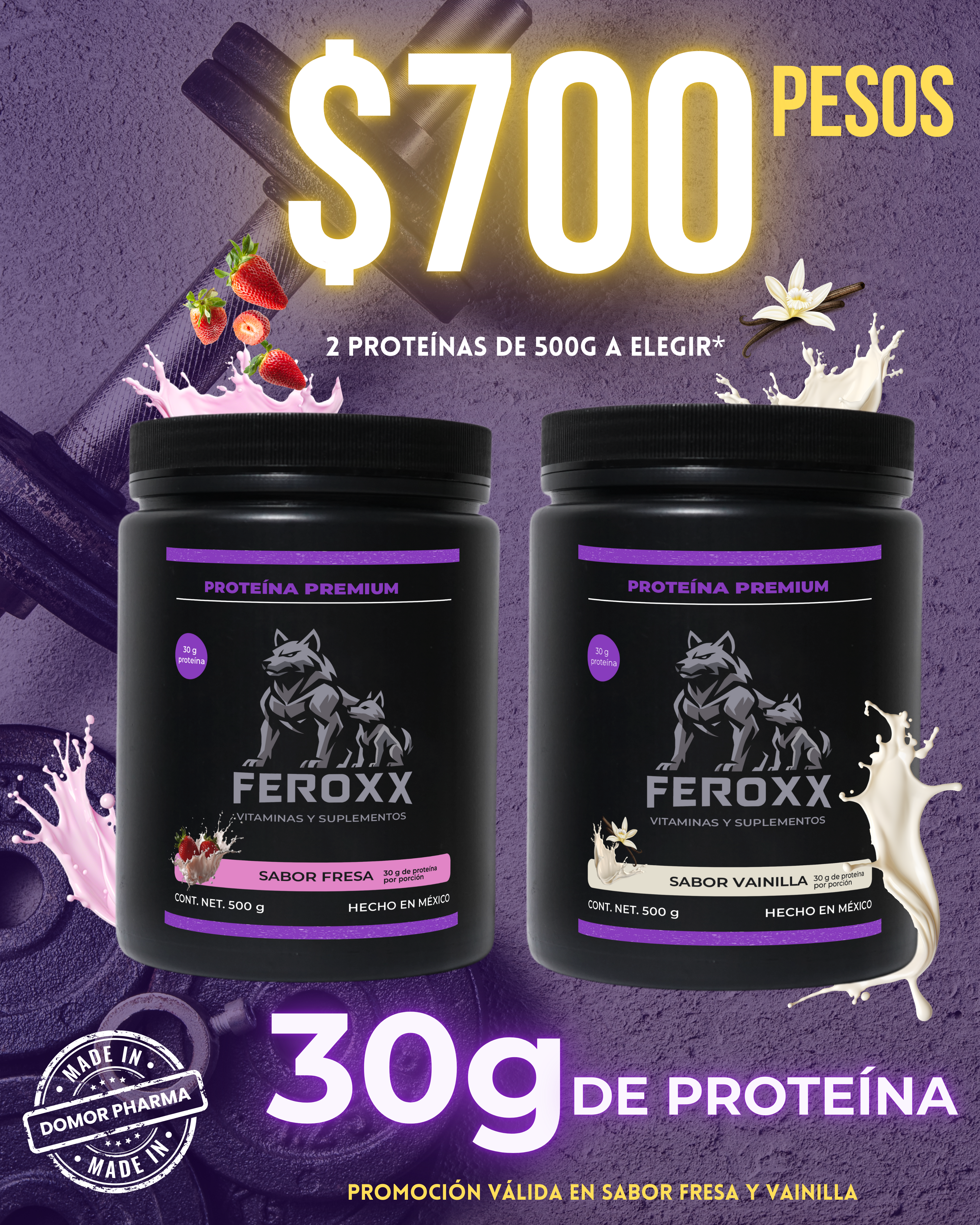 2 Kit - 2 Proteínas Sabor Fresa y Vainilla de 500g, 30g de proteína