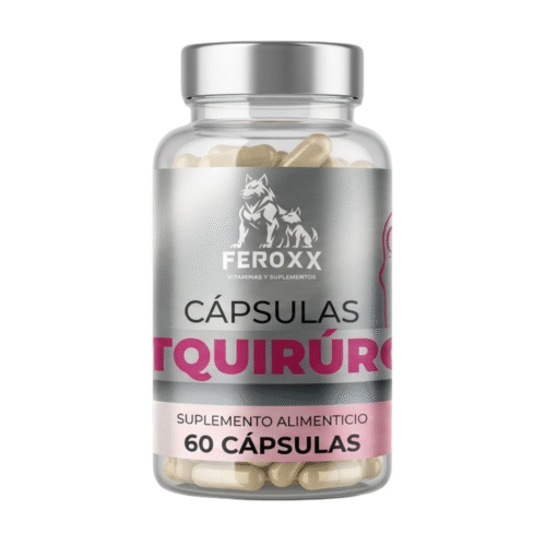 L-Glutamina, vitamina C, Zinc, bromelina, árnica montana, omega 3 Cápsulas postquirúrgica 60 cápsulas