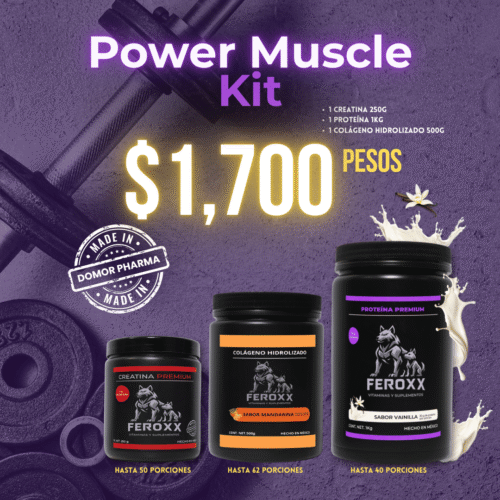 Kit Power Muscle